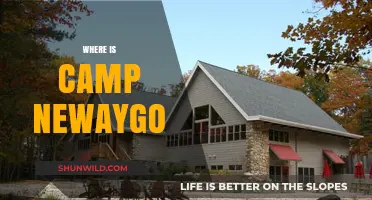 Exploring the Hidden Gem: Camp Newaygo's Serene Location Revealed