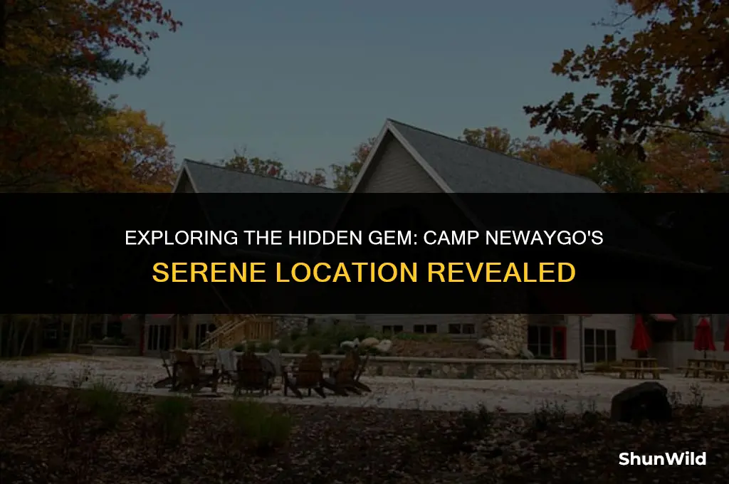 where is camp newaygo