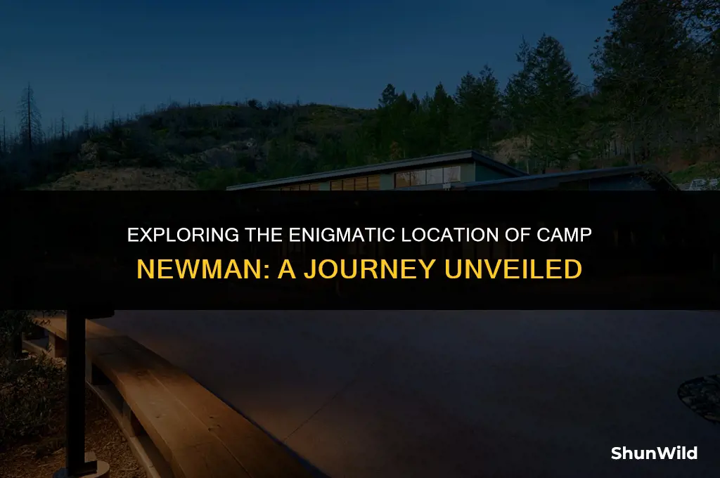where is camp newman
