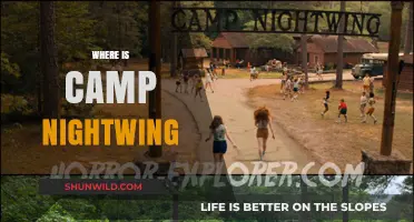 Unveiling the Mystery: Where is Camp Nightwing Located?