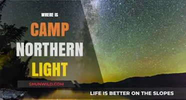 Discovering Camp Northern Light: A Journey to the Heart of the Wilderness