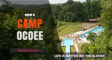 Exploring the Great Outdoors: A Guide to Camp Ocoee's Location