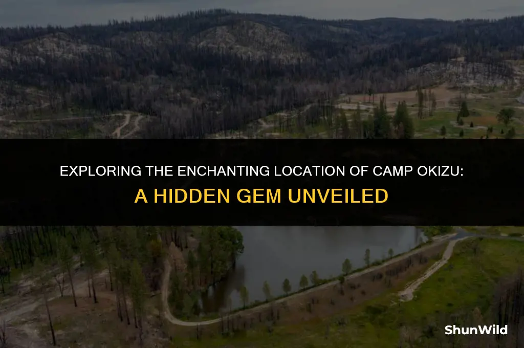 where is camp okizu