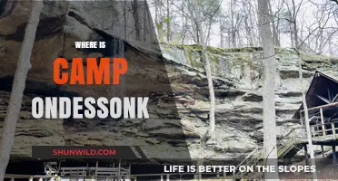 Exploring the Enchanting Wilderness of Camp Ondessonk