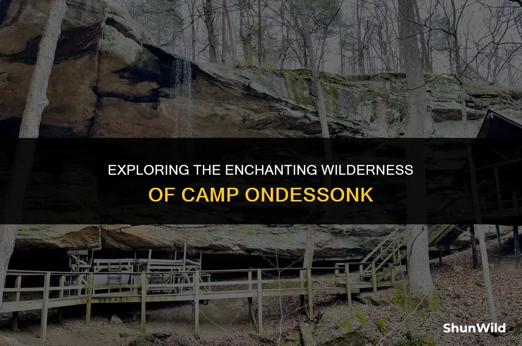 where is camp ondessonk
