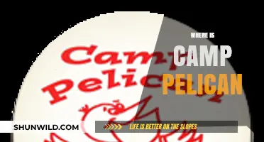 Unveiling the Mystery: Where is Camp Pelican Located?