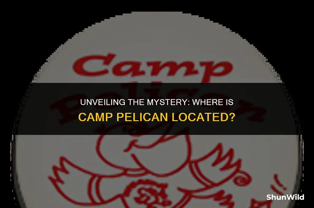 where is camp pelican