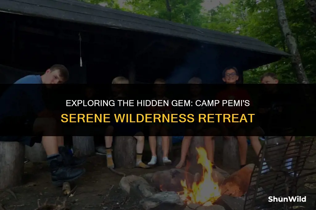 where is camp pemi