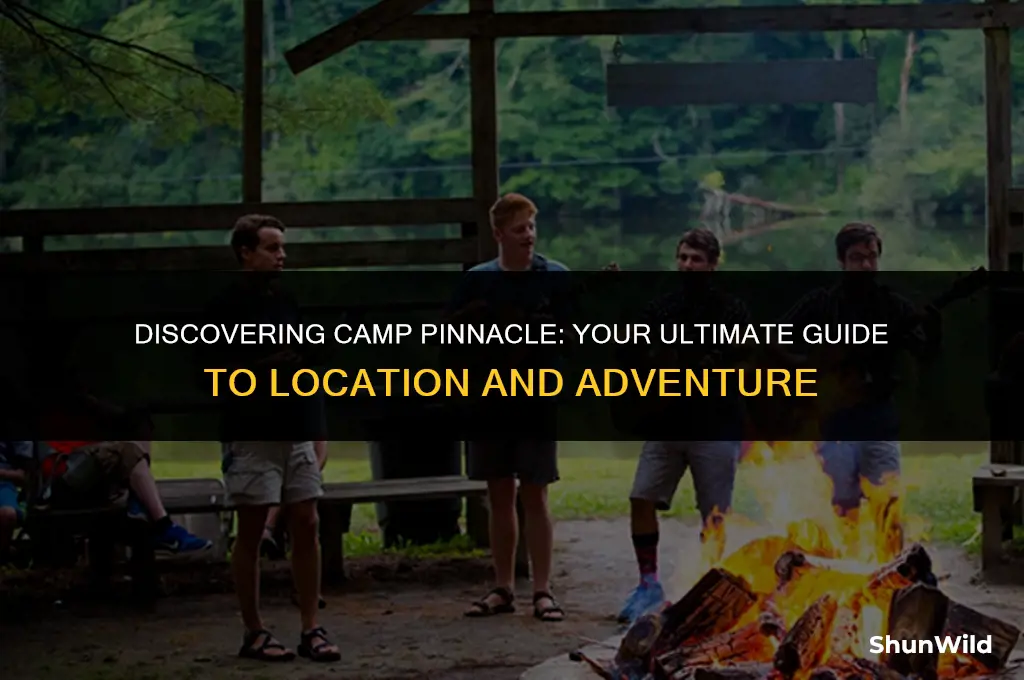 where is camp pinnacle