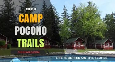 Discover the Hidden Gem: Camp Pocono Trails Awaits!