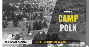 Unveiling the Mystery: Where is Camp Polk Located?