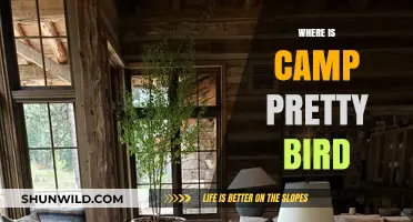 Discovering Camp Pretty Bird: A Hidden Gem in the Wilderness