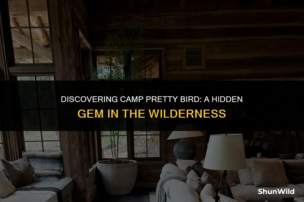 where is camp pretty bird