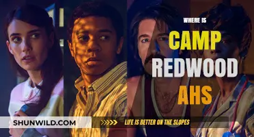 Unveiling the Mystery: Camp Redwood's Haunting Legacy in American Horror Story