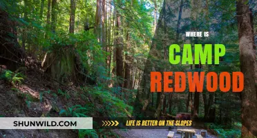 Exploring the Enchanting Camp Redwood: A Hidden Gem in Nature's Lap