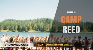Unveiling the Mystery: Where is Camp Reed Located?