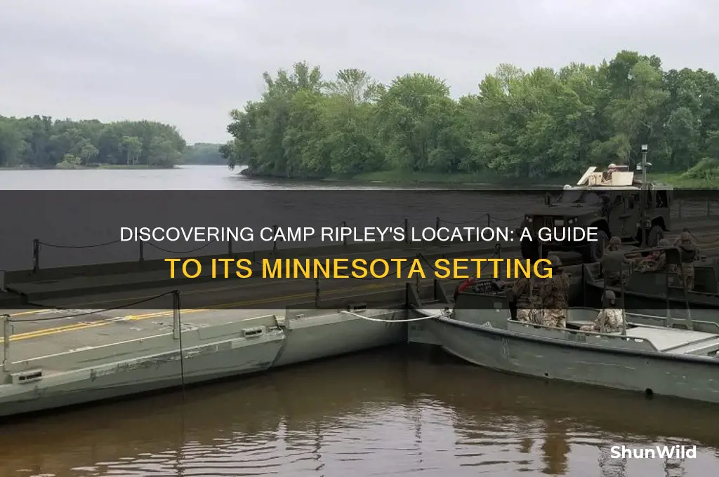 where is camp ripley located