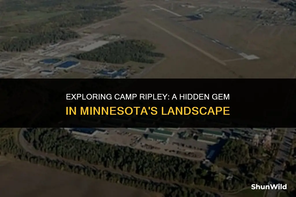 where is camp ripley minnesota