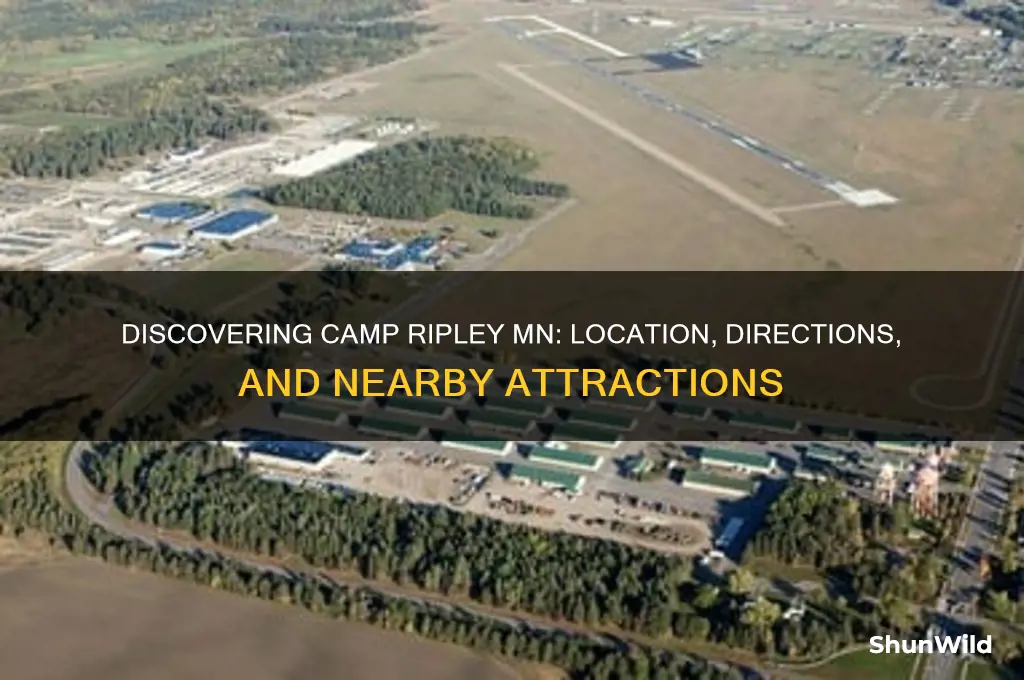 where is camp ripley mn