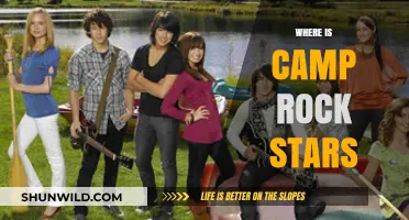 Unveiling the Mystery: Where Are Camp Rock's Stars Now?