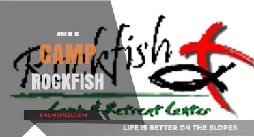 Exploring the Hidden Gem: Camp Rockfish's Secret Location Revealed
