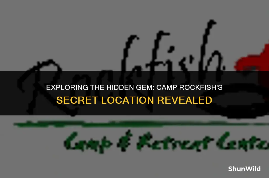 where is camp rockfish