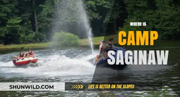 Exploring the Mythical Camp Saginaw: A Journey into the Unknown