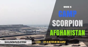 Unveiling the Mystery: Camp Scorpion's Hidden Location in Afghanistan
