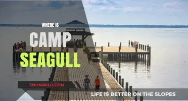 Exploring the Hidden Gem: Camp Seagull's Secret Location Revealed