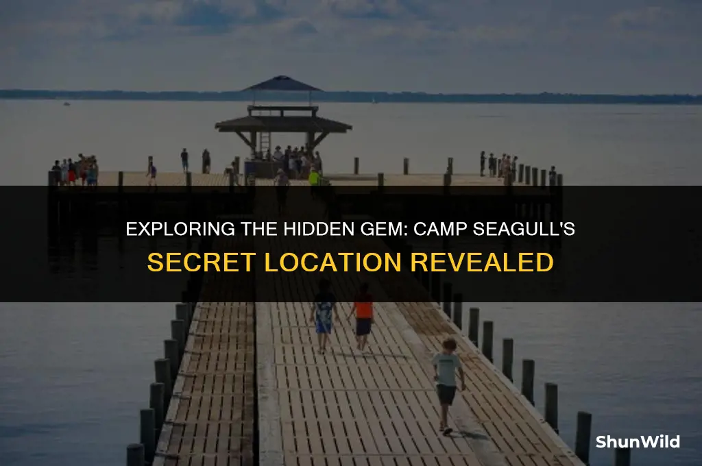 where is camp seagull