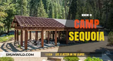 Exploring the Enchanting Beauty of Camp Sequoia: A Hidden Gem Unveiled