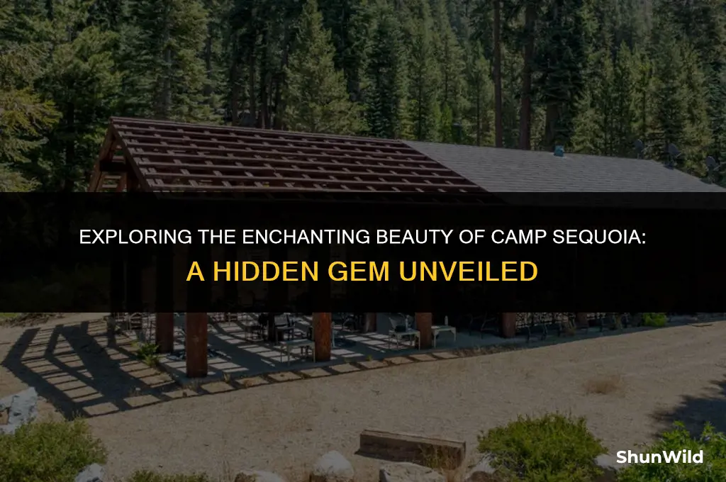where is camp sequoia