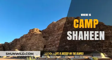 Unveiling the Mystery: Where is Camp Shaheen Located?