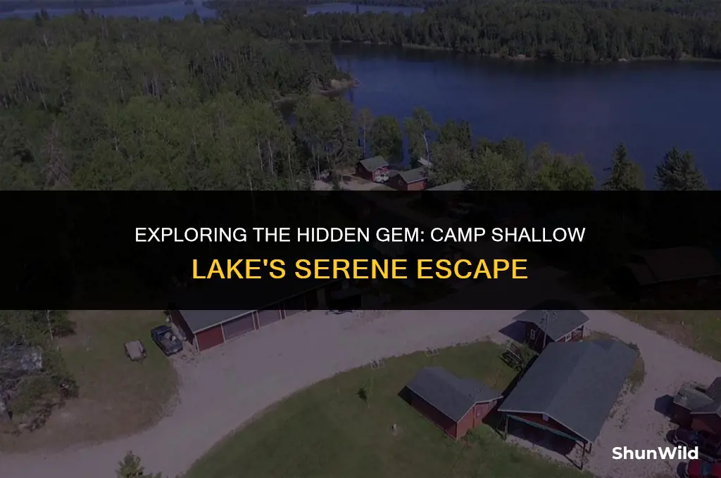 where is camp shallow lake