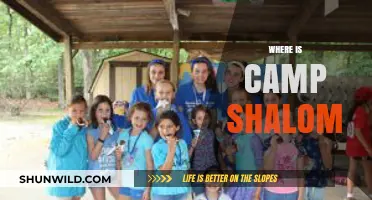 Discovering Camp Shalom: A Journey to Israel's Premier Summer Destination