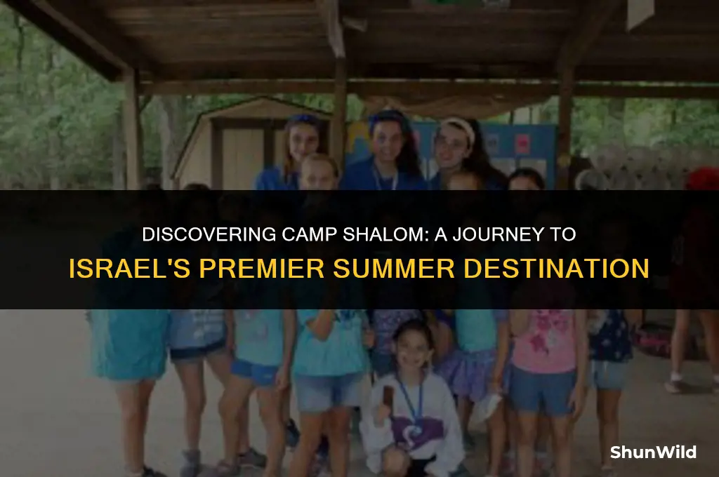 where is camp shalom