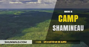 Exploring the Enchanting Wilderness of Camp Shamineau: A Journey Guide