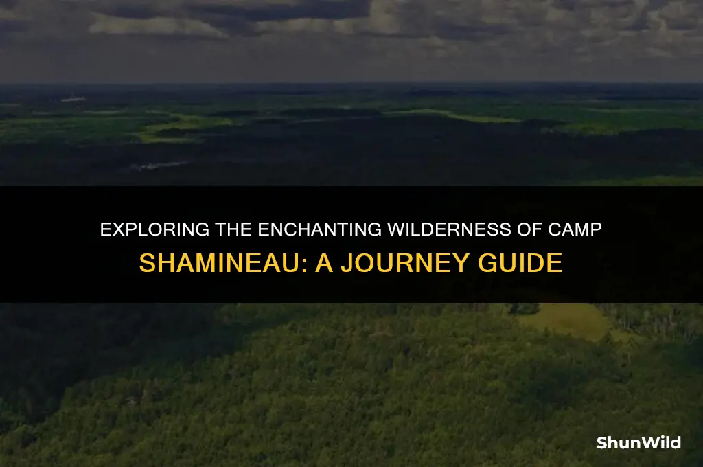 where is camp shamineau