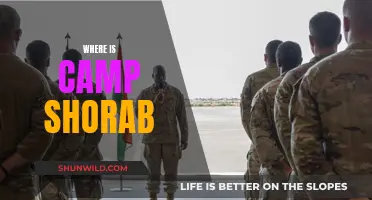 Unveiling the Mystery: Where is Camp Shorab Located?
