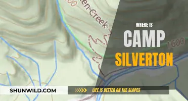 Unveiling the Mystery: Where is Camp Silverton Located?
