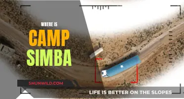 Exploring the Mystery: Where is Camp Simba Located?
