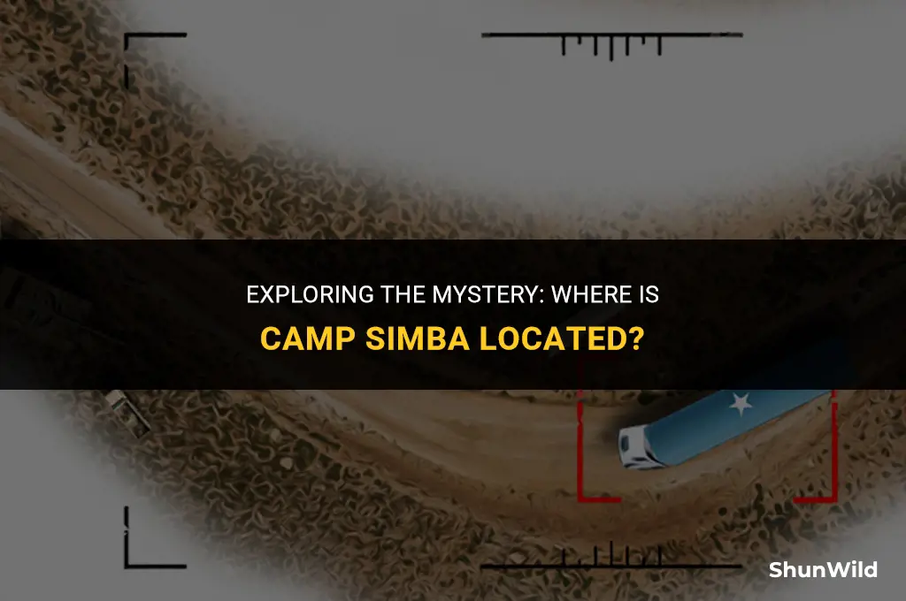where is camp simba