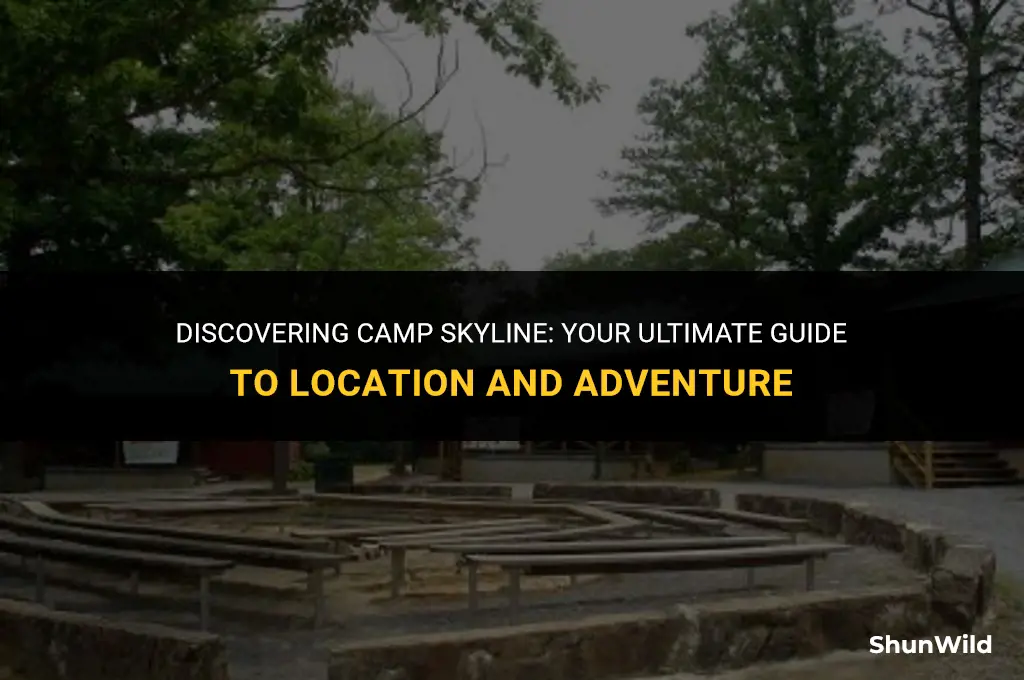 where is camp skyline