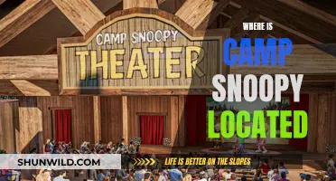 Unveiling the Enchanting Location of Camp Snoopy: A Journey into the Heart of Peanuts