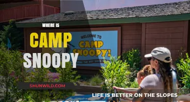 Discovering Camp Snoopy's Location: A Guide to Finding Peanuts' Fun Spot