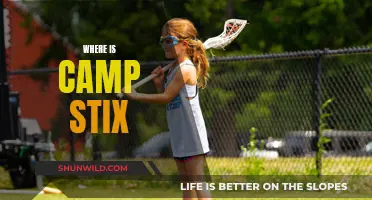 Unveiling the Mystery: Where is Camp Stix Located?