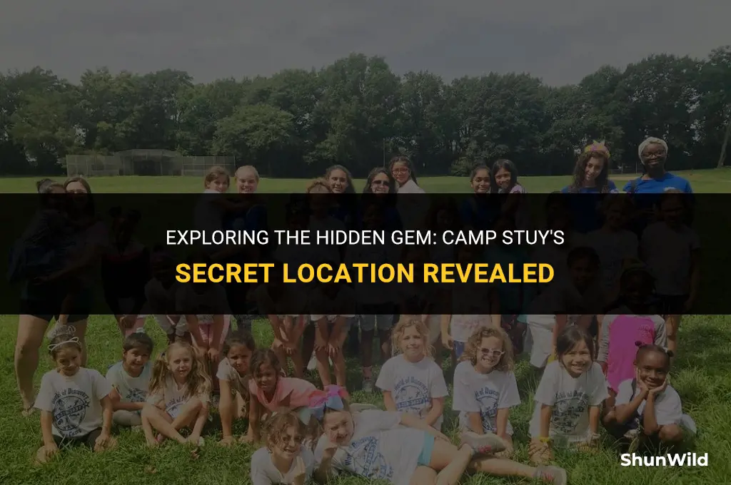 where is camp stuy located