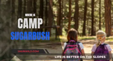 Discovering Camp Sugarbush: Your Ultimate Guide to Location and More