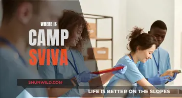 Unveiling the Mystery: Where is Camp Sviva Located?