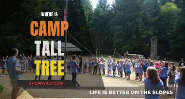 Exploring the Enchanting Wilderness of Camp Tall Tree